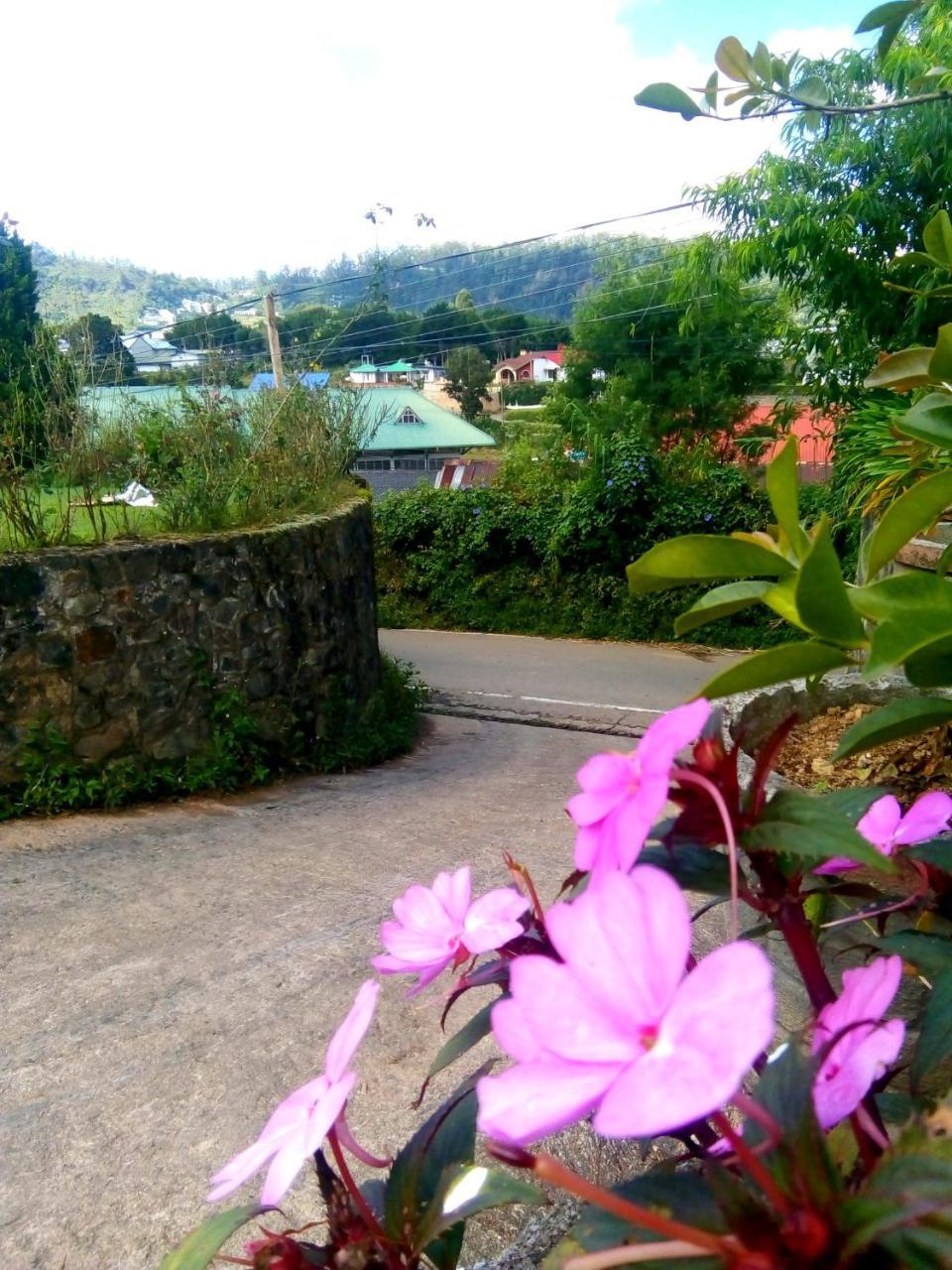 Nuwara Eliya Mountain View Homestay Bagian luar foto