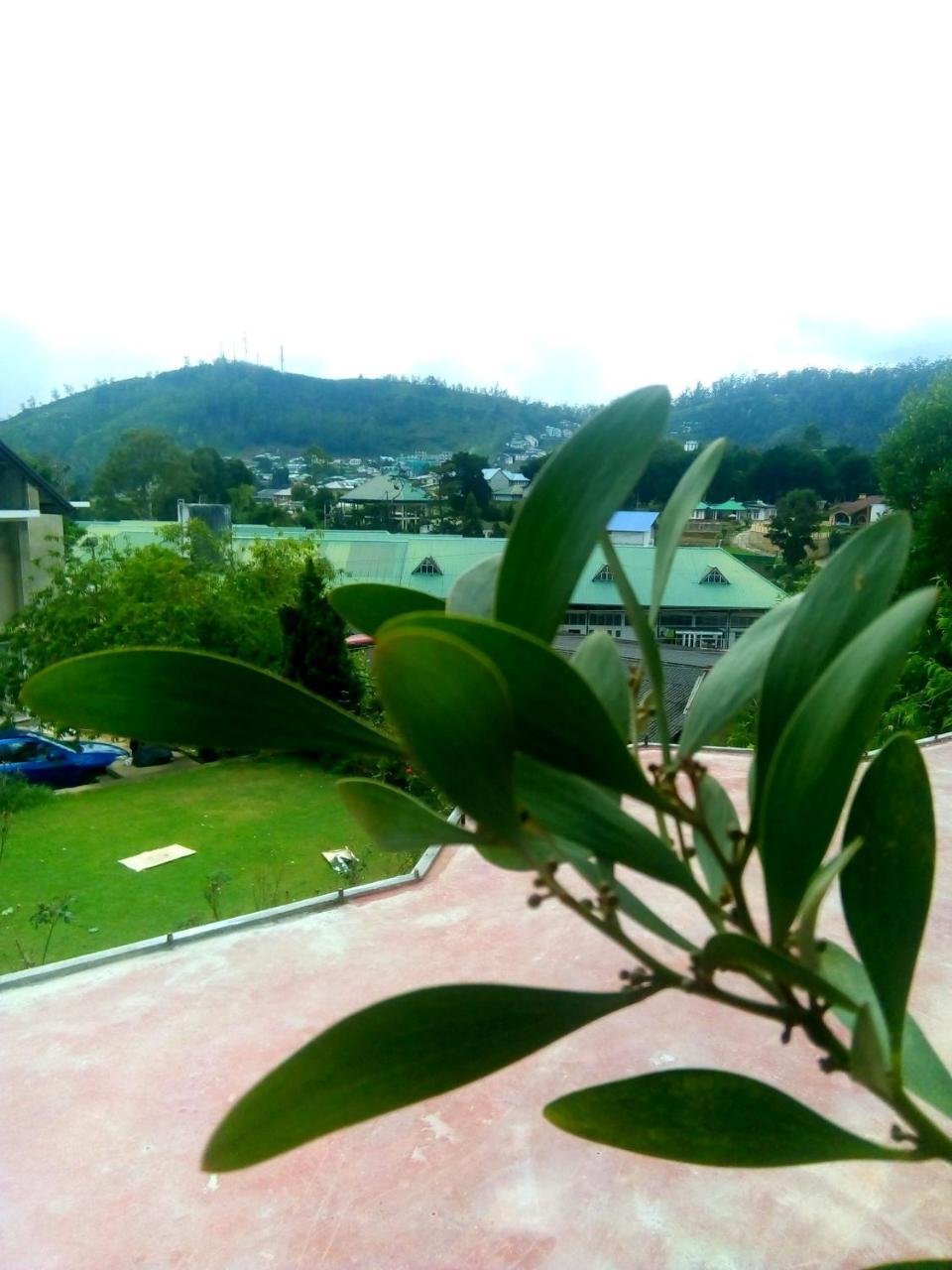 Nuwara Eliya Mountain View Homestay Bagian luar foto