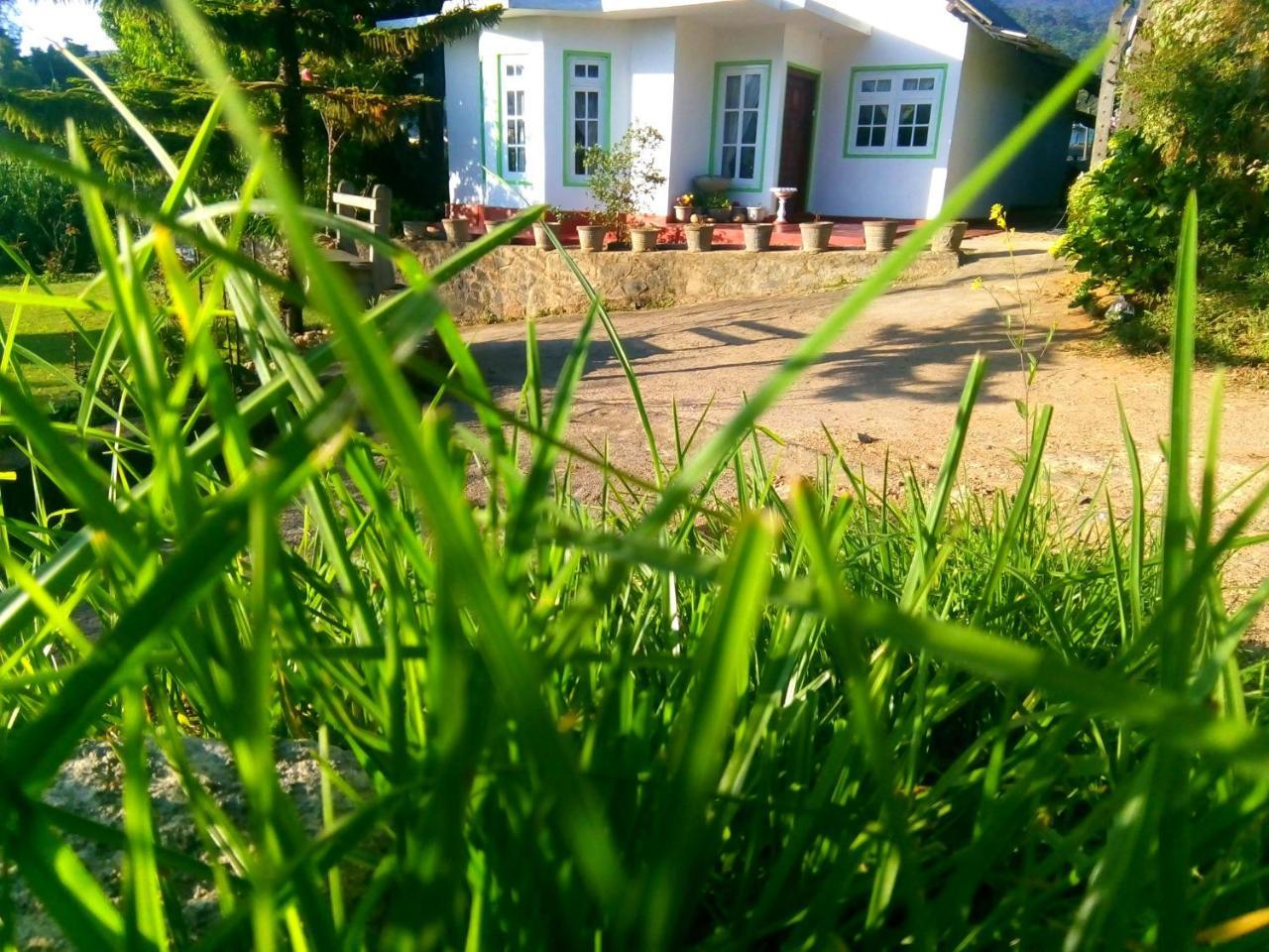 Nuwara Eliya Mountain View Homestay Bagian luar foto