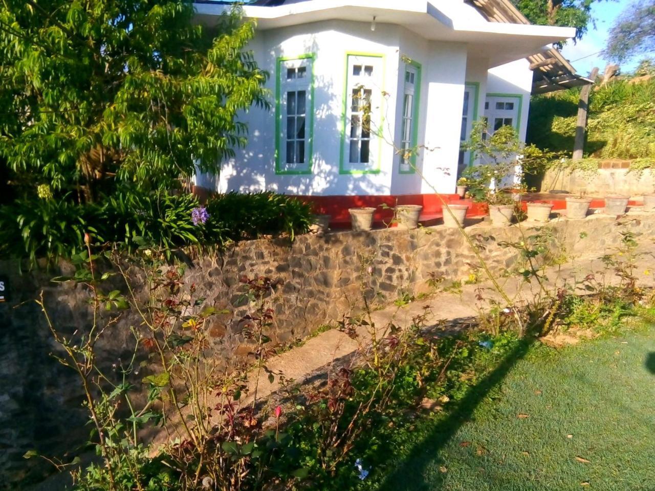Nuwara Eliya Mountain View Homestay Bagian luar foto