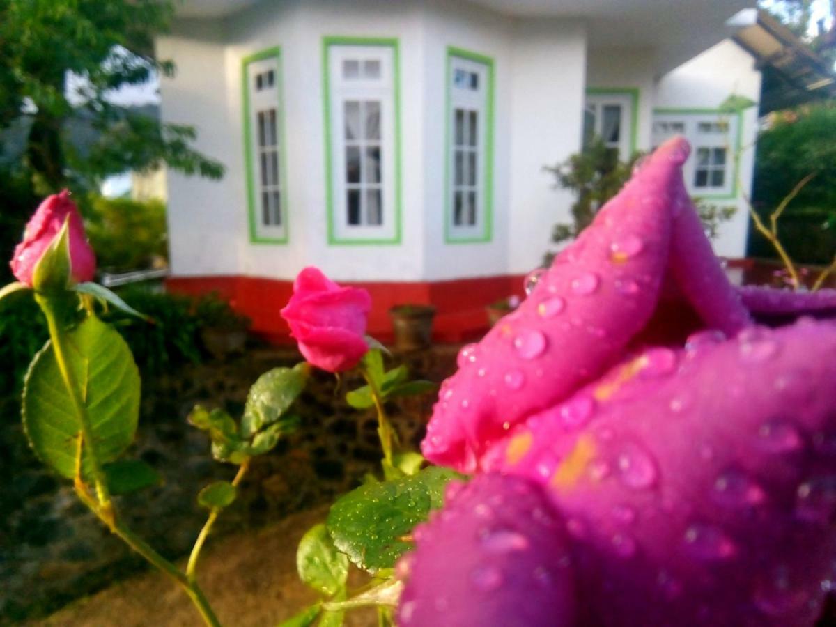Nuwara Eliya Mountain View Homestay Bagian luar foto