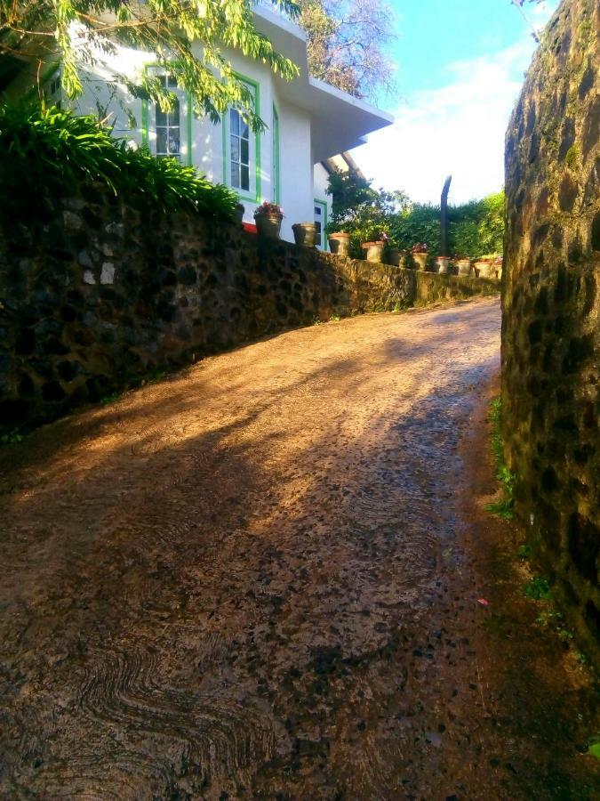 Nuwara Eliya Mountain View Homestay Bagian luar foto